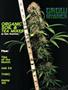 Page: - 89 | High Times