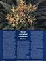 Page: - 98 | High Times