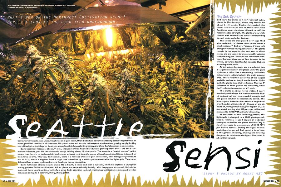 SEATTLE SENSI