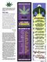 Page: - 109 | High Times