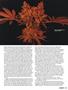 Page: - 45 | High Times