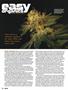 Page: - 92 | High Times