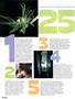Page: - 44 | High Times