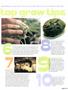 Page: - 45 | High Times