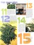 Page: - 46 | High Times