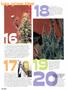 Page: - 48 | High Times