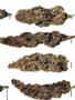 Page: - 59 | High Times