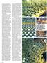 Page: - 60 | High Times
