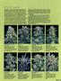 Page: - 61 | High Times