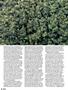 Page: - 62 | High Times