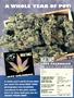 Page: - 75 | High Times