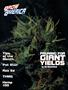 Page: - 83 | High Times