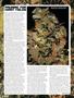 Page: - 88 | High Times