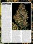 Page: - 92 | High Times
