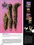 Page: - 96 | High Times
