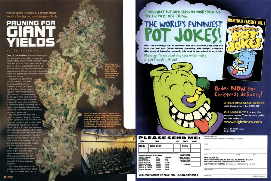 PRUNING FOR GIANT YIELDS