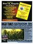 Page: - 37 | High Times