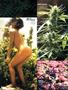 Page: - 79 | High Times