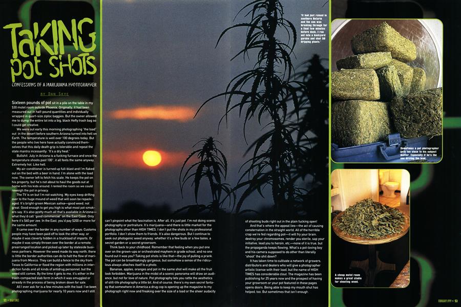 TAKING POT SHOTS