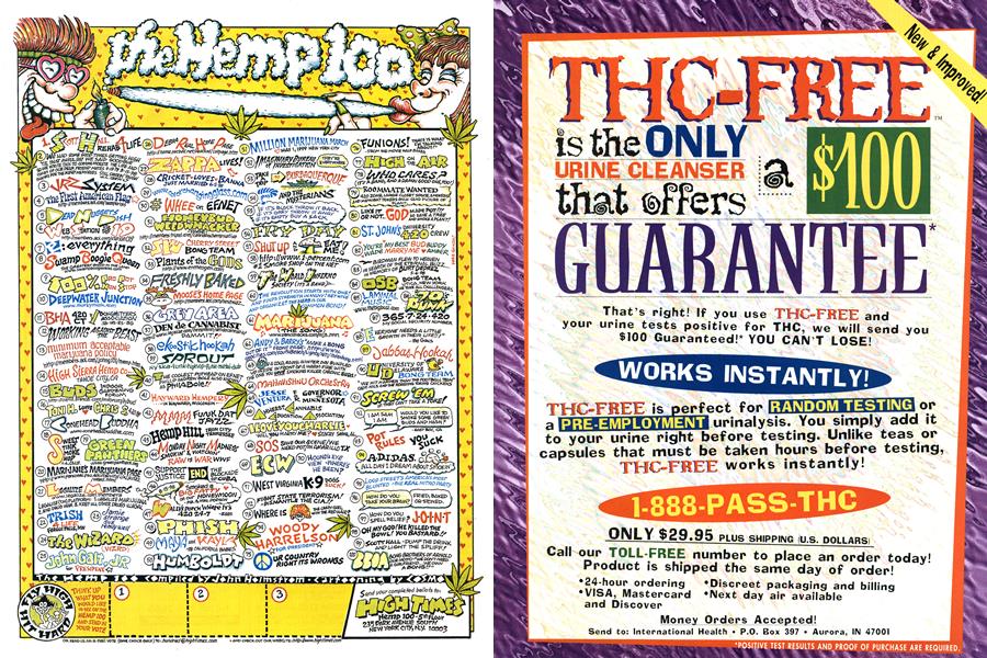 the Hemp 100