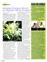 Page: - 24 | High Times