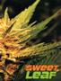 Page: - 55 | High Times
