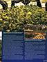 Page: - 57 | High Times