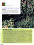 Page: - 80 | High Times