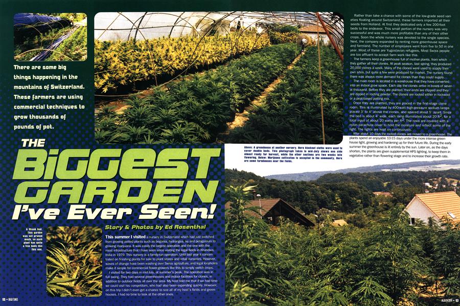 THE BIGGEST GARDEN I'VE EVER SEEN!