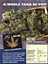 Page: - 53 | High Times