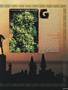 Page: - 57 | High Times