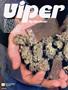Page: - 42 | High Times