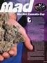 Page: - 43 | High Times