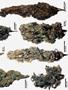 Page: - 57 | High Times