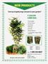 Page: - 63 | High Times