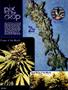 Page: - 86 | High Times