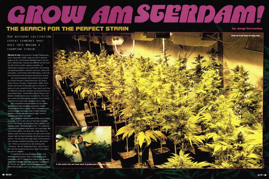 GROW AMSTERDAM!