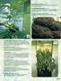 Page: - 57 | High Times