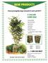Page: - 69 | High Times