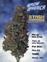 Page: - 77 | High Times