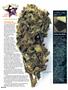 Page: - 86 | High Times