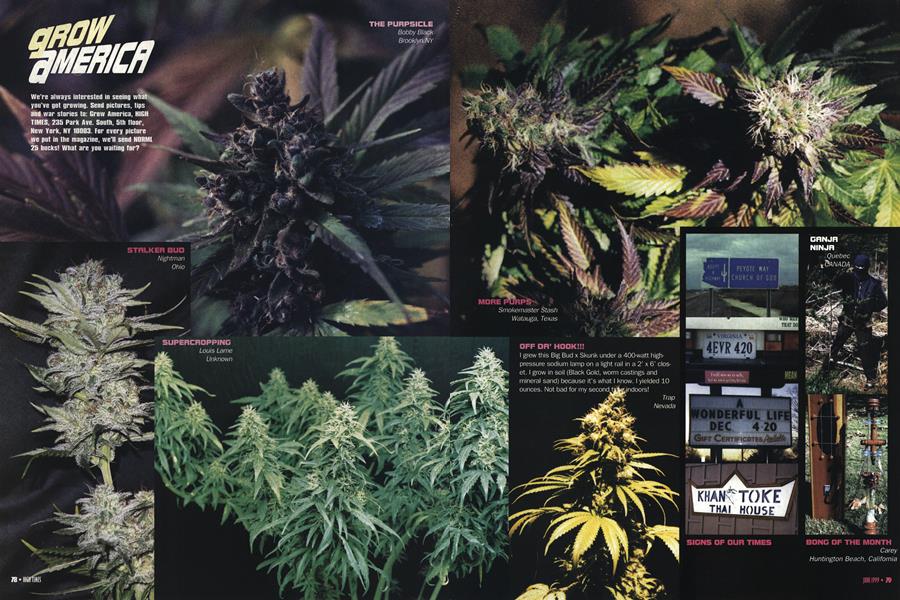 GROW AMERICA