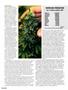 Page: - 46 | High Times