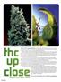 Page: - 52 | High Times