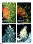 Page: - 56 | High Times