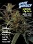 Page: - 77 | High Times