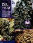 Page: - 80 | High Times