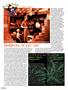 Page: - 86 | High Times