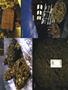 Page: - 57 | High Times