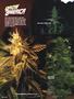 Page: - 76 | High Times